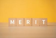 耐久性に優れた畳｜ペット用にも使える「MIGUSA」のメリット