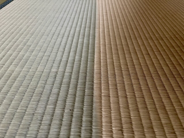 カビに強いユニット畳を選ぶコツ