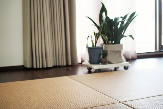 通販で最適なサイズのユニット畳を選ぶコツ